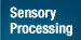 Sensory Integration