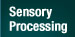 Sensory Processing